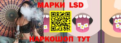стаф Брянск