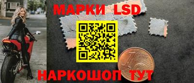 стаф Брянск