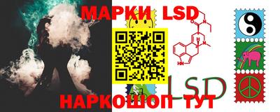 стаф Брянск