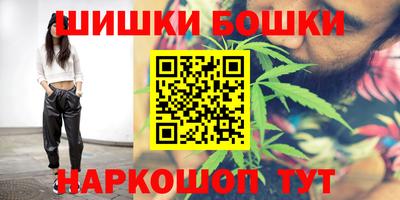 гашик Боровичи