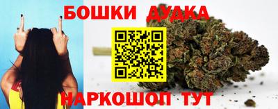 гашик Боровичи