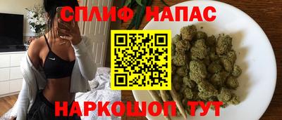 гашик Боровичи