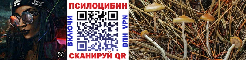 как найти закладки  KRAKEN зеркало  Псилоцибиновые грибы MAGIC MUSHROOMS  Выкса 