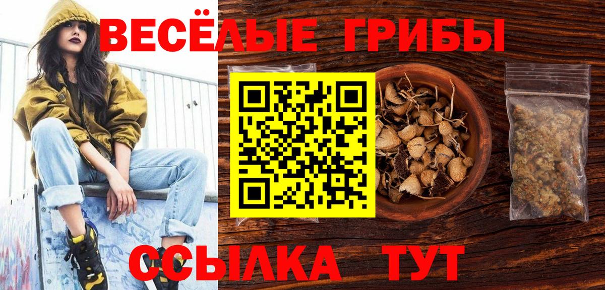 Выкса  где купить наркоту  Галлюциногенные грибы ЛСД  Вход с VPN  Галлюциногенные грибы мицелий 